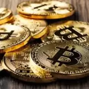 La cripto Bitcoin se erige como el nuevo oro de la actualidad