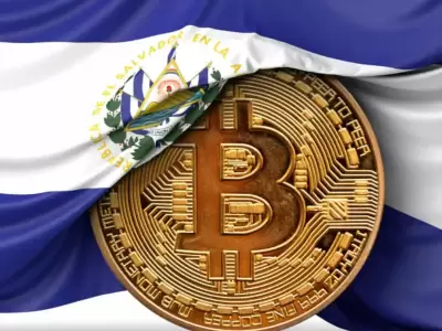 Bukele estall� en alegr�a tras la �ltima picada en alza del Bitcoin.