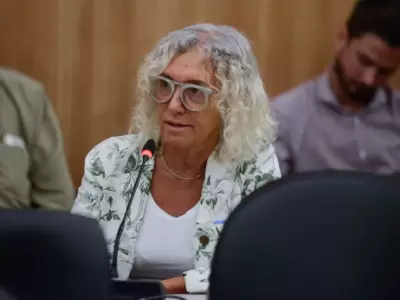M�nica Frade (Coalici�n C�vica), presidenta de la Comisi�n de Prevenci�n de Adicciones de Diputados.