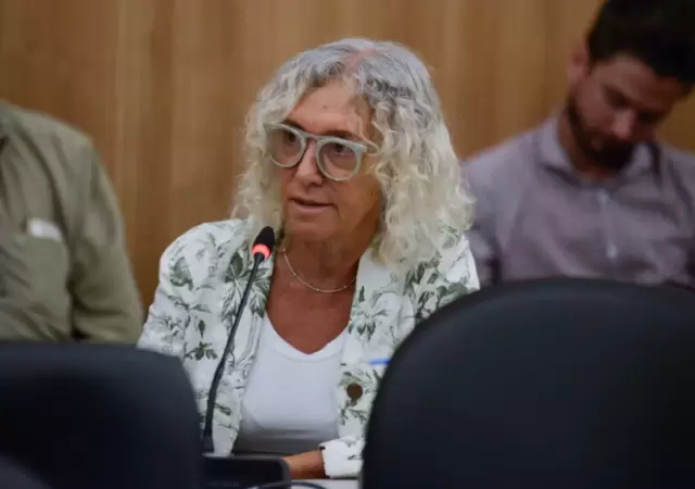 M�nica Frade (Coalici�n C�vica), presidenta de la Comisi�n de Prevenci�n de Adicciones de Diputados.