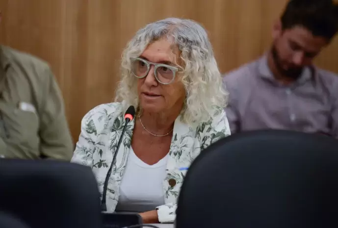 M�nica Frade (Coalici�n C�vica), presidenta de la comisi�n de Prevenci�n de Adicciones de Diputados.