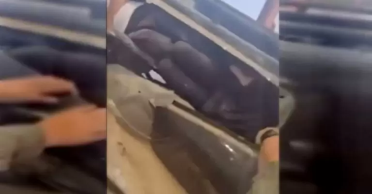 Calor sofocante y falta de ox�geno: factores que podr�an haber matado a los migrantes.