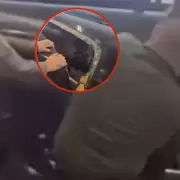 Descubrieron a inmigrantes indocumentados escondidos en el chasis de una camioneta
