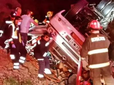 Los brigadistas chilenos debieron rescatar a los ocupantes del cami�n Mercedes Benz volcado sobre la Ruta 60.