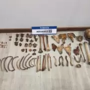 Una mujer intent� pasar huesos humanos a Chile desde Mendoza