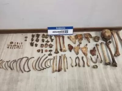 Imagen del secuestro realizado por la PDI de Chile a la viajera uruguaya que intent� ingresar a ese pa�s por el sur de Mendoza.