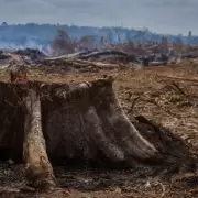 El retiro argentino de la cumbre clim�tica tendr� consecuencias negativas