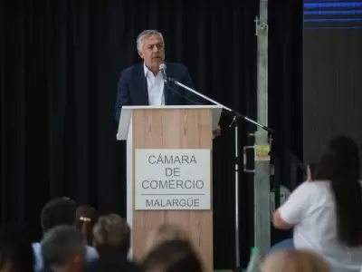 Planes para el desarrollo del sur