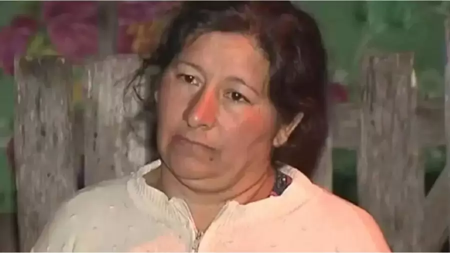 Laudelina Pe�a, t�a del nene que es buscado desesperadamente. (Foto: web)