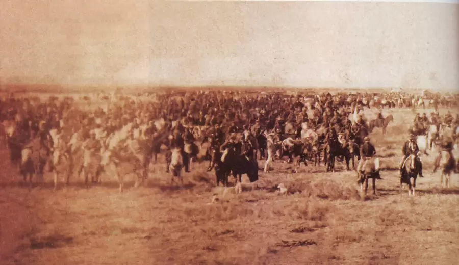 campana_del_desierto_1879