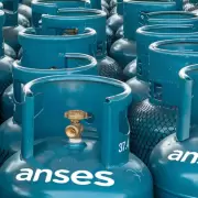 ANSES: c�mo saber si me corresponde cobrar el Programa Hogar