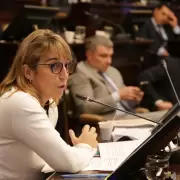 Mar�a Jos� Sanz, sobre la Ficha Limpia y "la resistencia pol�tica a la transparencia"