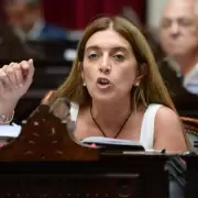 Fracas� el tratamiento de Ficha Limpia y no hay definici�n sobre el Presupuesto 2025