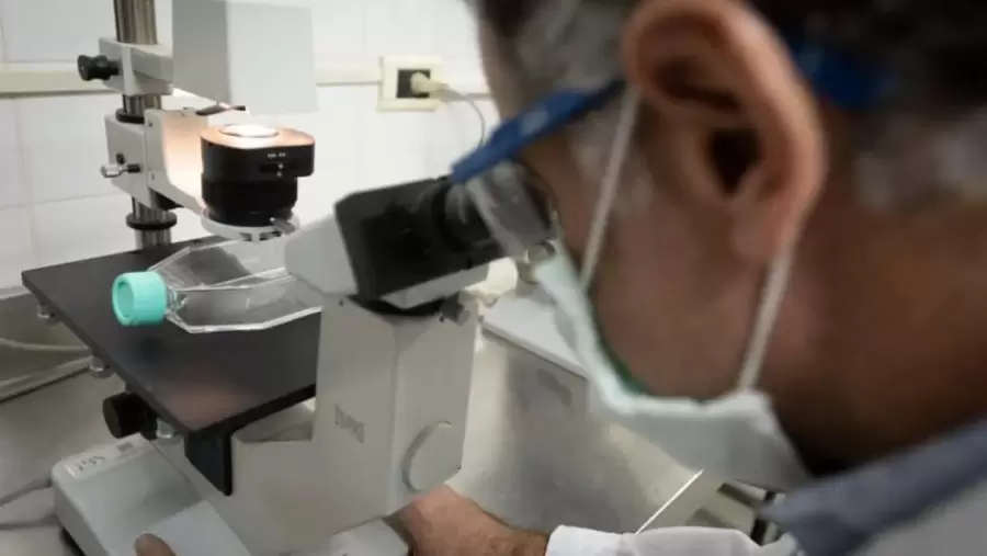 Laboratorio