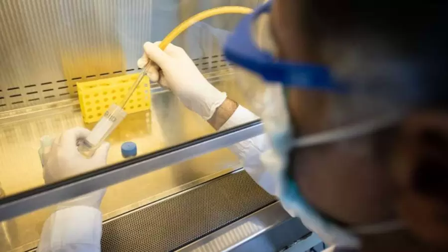 Investigacion