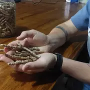 Un restaurante te invita a saber todo sobre su comida