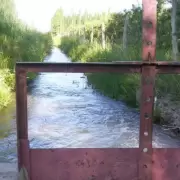 Tragedias en el agua: una mujer y un hombre perdieron la vida en cauces mendocinos
