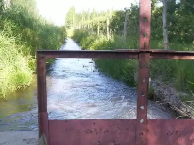 Tragedias en el agua: una mujer y un hombre perdieron la vida en cauces mendocinos