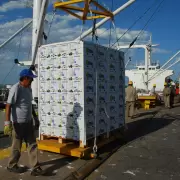 Aumentan las exportaciones industriales pero con menor participaci�n de empresas pyme