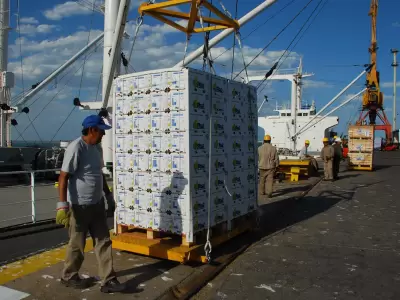 Exportaci�n de alimentos