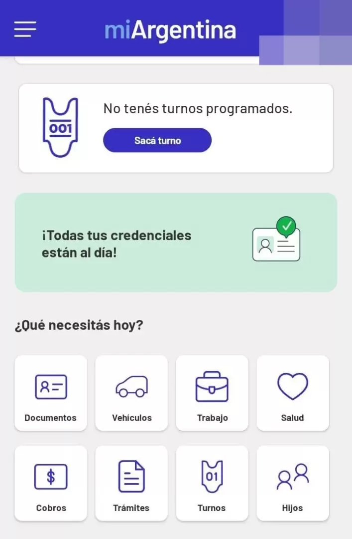 Autorizar veh�culo 1