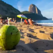 Una low cost conectar� Mendoza y R�o de Janeiro con vuelos directos desde mayo