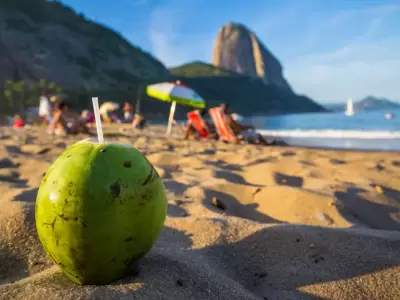 R�o de Janeiro uno de los destinos m�s elegidos por los turistas.