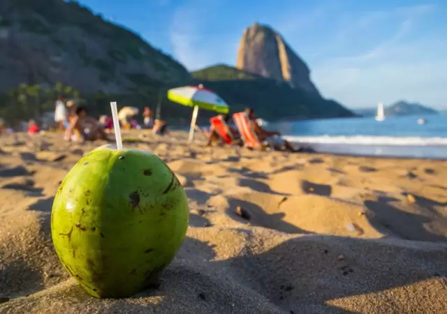 R�o de Janeiro uno de los destinos m�s elegidos por los turistas.
