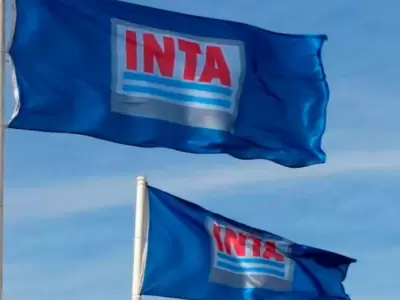 El INTA contribuye al sector agropecuario, agroalimentario y agroindustrial a trav�s de la investigaci�n.