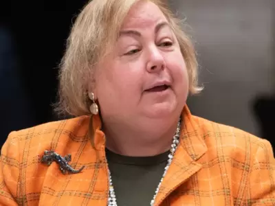 Senadora Liz Krueger