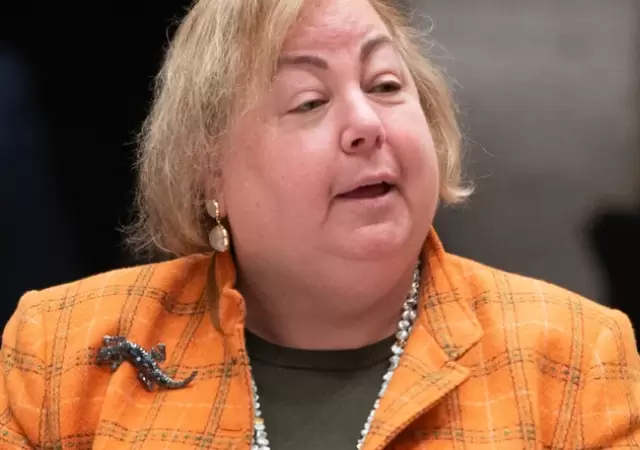 Senadora Liz Krueger