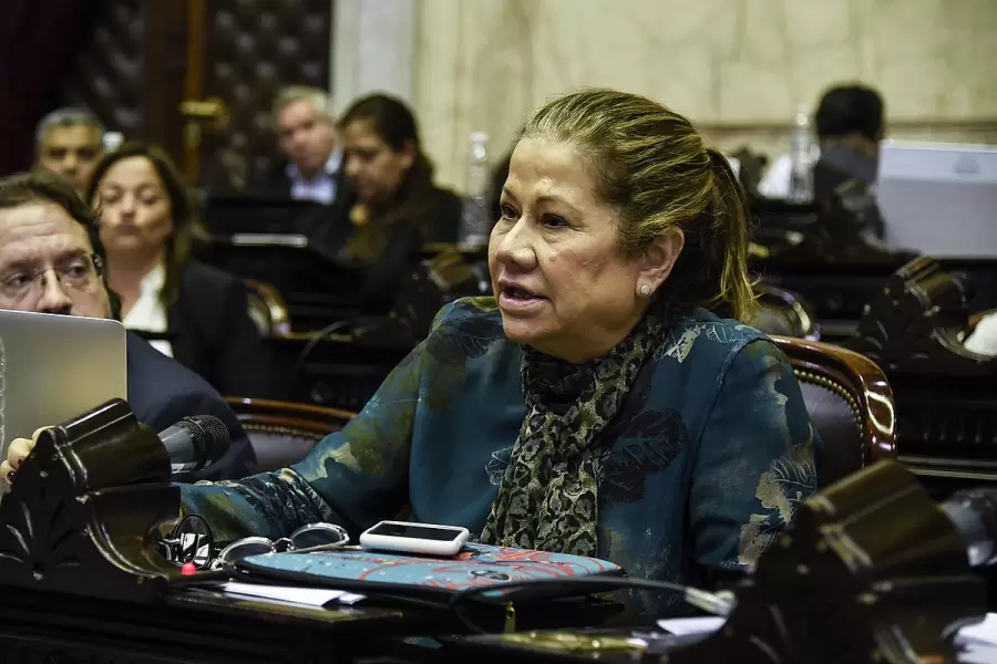 Graciela Cama�o