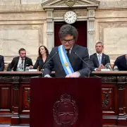 La gobernabilidad tiene que ver con el �mpetu de Milei pero tambi�n con el control del Congreso