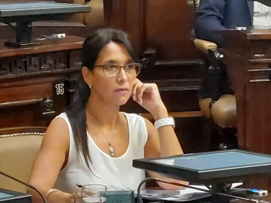 Senadora Mar�a Mercedes Derrache (PJ - UxP)
