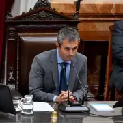 Mart�n Menem: el poder detr�s del estrado en Diputados se consolida