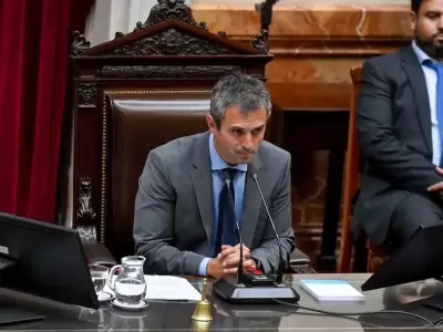 Mart�n Menem: el poder detr�s del estrado en Diputados se consolida