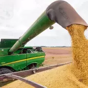 ¿Por qué se registró en noviembre una alta liquidación de divisas del agro?