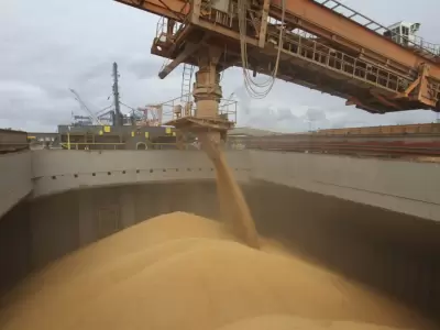 Los ingresos por la exportaci�n de soja favorecen el equilibrio comercial.