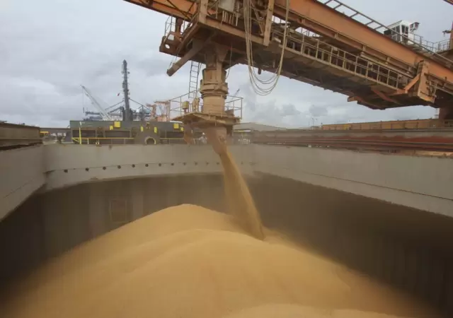 Los ingresos por la exportaci�n de soja favorecen el equilibrio comercial.