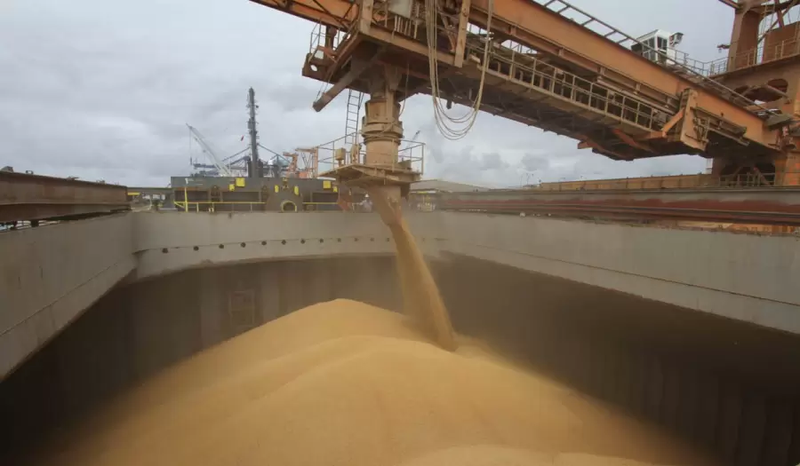 Los ingresos por la exportaci�n de soja favorecen el equilibrio comercial. (Foto: web)