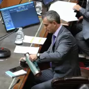 El Gobierno maniobra para que Mart�n Menem siga al frente de Diputados