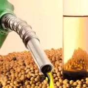 "El aumento del biocombustible no deber�a afectar mucho el precio de las naftas"