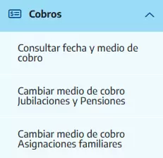 Todas las opciones de la seccin 'Cobros'