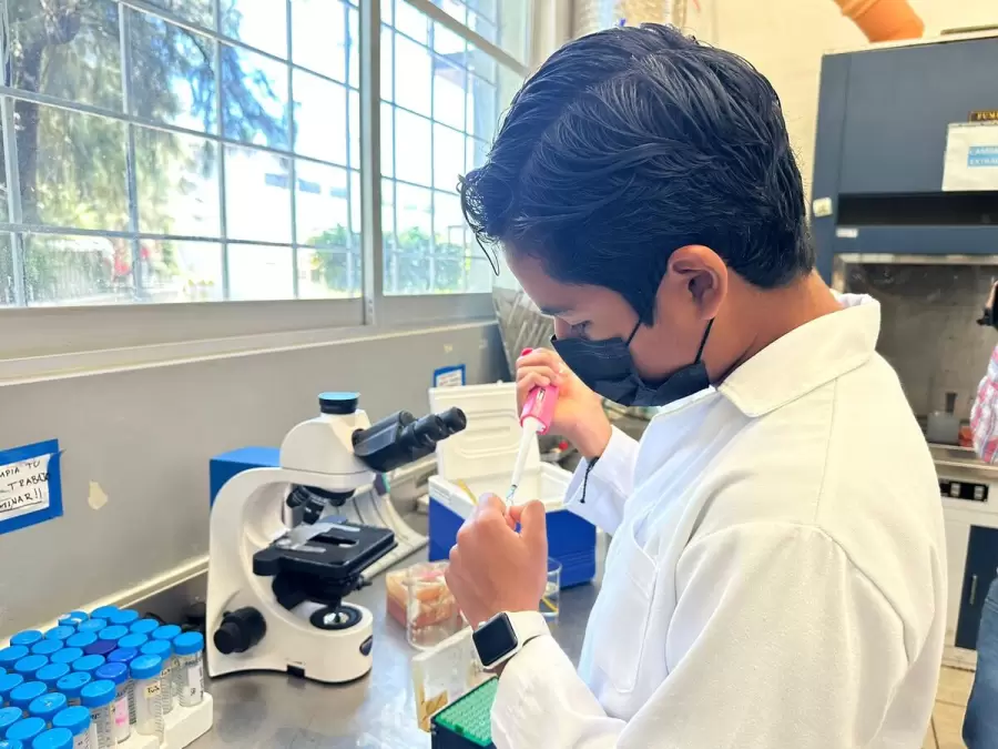 Ian, trabajando en el laboratorio de microbiolog�a.