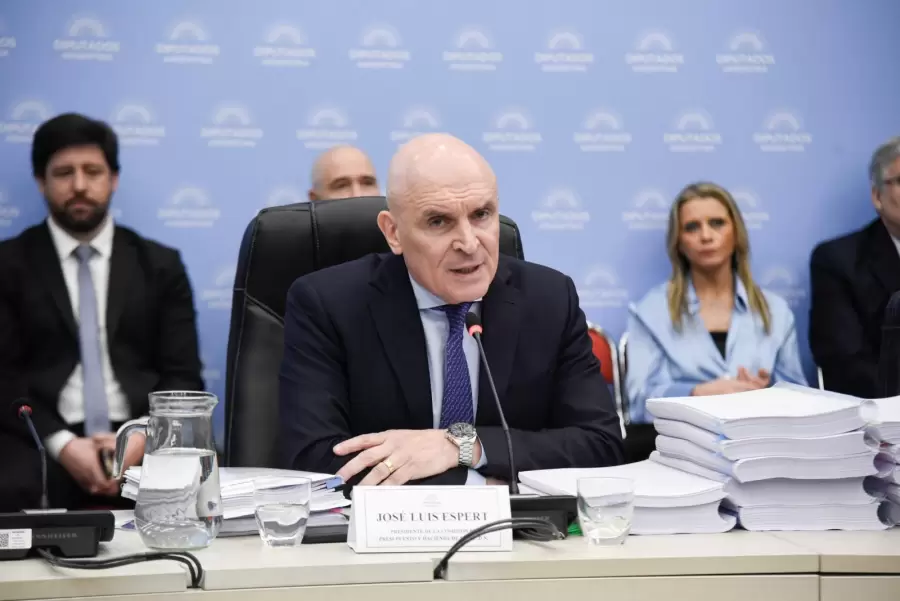 Espert preside la comisión de Presupuesto