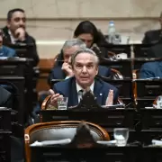 Agost Carre�o: "Milei ha tensado m�s que el kirchnerismo las instituciones democr�ticas"