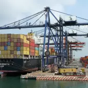 Exportaciones agroindustriales aumentaron 51% en volumen respecto del 2023