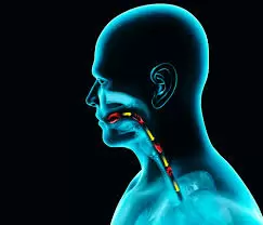 Los m�sculos de la zona lar�ngea y de degluci�n tienen cierta din�mica, y si se pierde el sincronismo comenzar�n a aparecer los problemas.