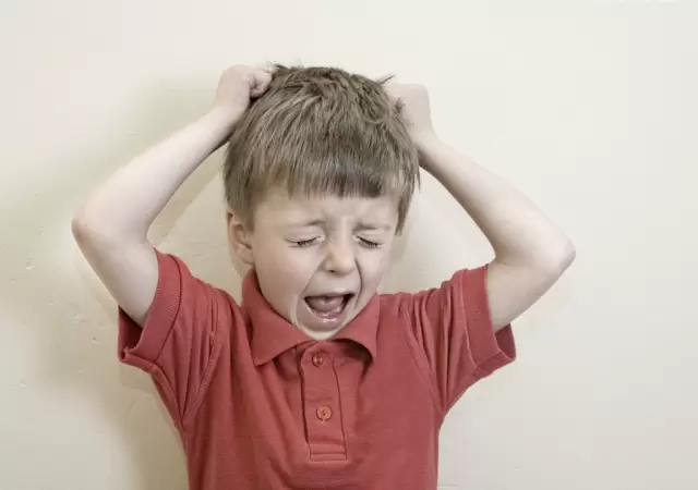 "Cuando hablamos de inclusi�n no estamos hablando solamente de autismo. Tenemos situaciones socioecon�micas dif�ciles, chicos vulnerables" (E. Espina)