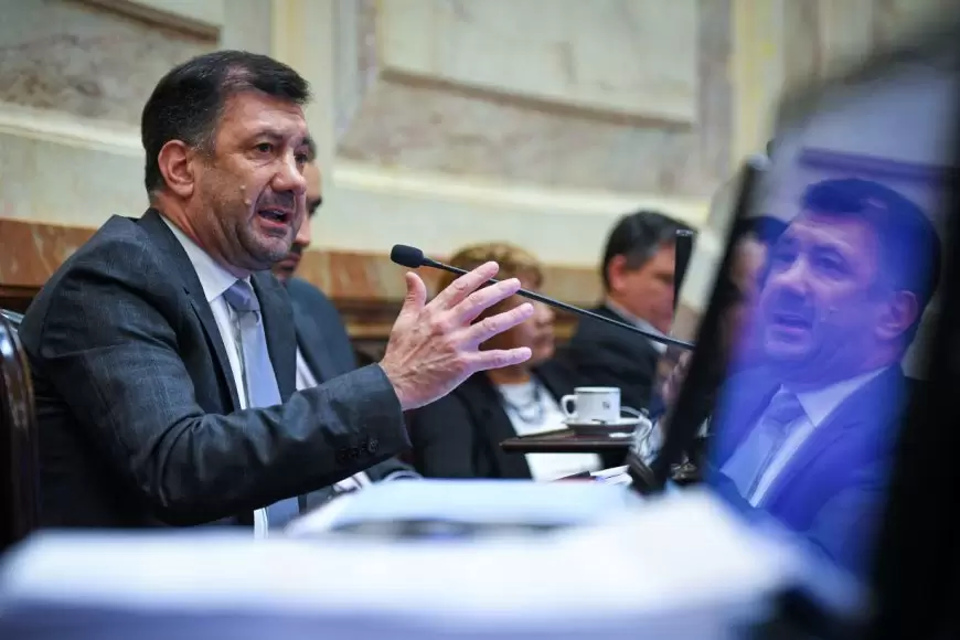 Edgardo Kueider buscar�, a trav�s de sus letrados, los artilugios legales para hacerle frente a la c�mara alta que lo ech�.